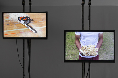 mushrooms, installation, art, media, moving image, sculpture, Toronto, 8-11